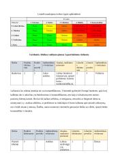 Rizikos valdymas UAB „Gėlių verslas“ 7 puslapis