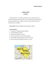 Belgijos tarptautinė prekyba ir politika 2 puslapis