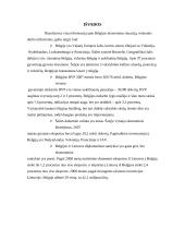 Belgijos tarptautinė prekyba ir politika 11 puslapis