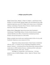 Belgijos tarptautinė prekyba ir politika 3 puslapis