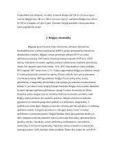 Belgijos tarptautinė prekyba ir politika 4 puslapis