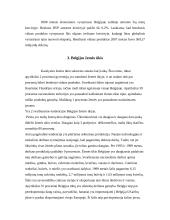 Belgijos tarptautinė prekyba ir politika 5 puslapis