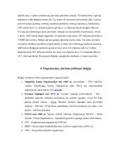 Belgijos tarptautinė prekyba ir politika 6 puslapis