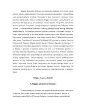 Belgijos tarptautinė prekyba ir politika 8 puslapis