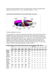 Bendras vidaus produktas. Jo dinamika Lietuvoje 19 puslapis