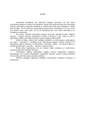 Bendras vidaus produktas. Jo dinamika Lietuvoje 3 puslapis