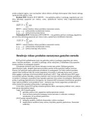 Bendrasis vidaus produktas arba BVP 2 puslapis