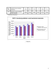 Bendrasis vidaus produktas arba BVP 6 puslapis