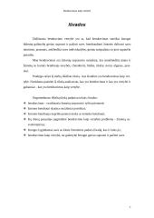 Bendravimas kaip vertybė 7 puslapis