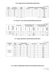 Statybos technologija ir organizavimas 16 puslapis