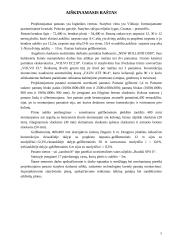 Statybos technologija ir organizavimas 4 puslapis