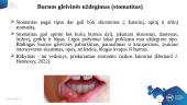 Pacientų, turinčių priklausomybę nuo rūkymo, burnos sveikatos problemos 7 puslapis