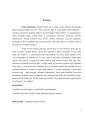 Prievolės samprata ir jos elementai 2 puslapis