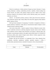 Bendri vaiko augimo raidos dėsningumai 2 puslapis