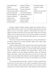 Bendri vaiko augimo raidos dėsningumai 3 puslapis