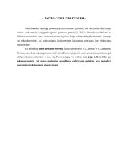 Bendroji pusiausvyra ir efektyvumas 11 puslapis