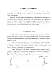 Bendroji pusiausvyra ir efektyvumas 6 puslapis