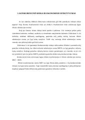 Bendroji pusiausvyra ir efektyvumas 10 puslapis