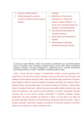 Tarptautinė švietimo politika ir teisinis reguliavimas 3 puslapis