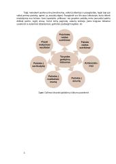 Tėvystės programos Lietuvoje 3 puslapis