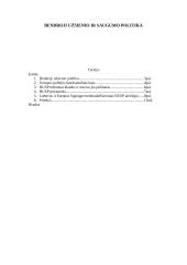 Bendroji užsienio ir saugumo politika bei politinis bendradarbiavimas