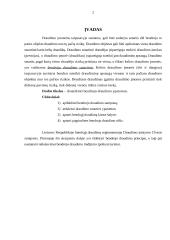 Bendrojo draudimo ypatumai 2 puslapis