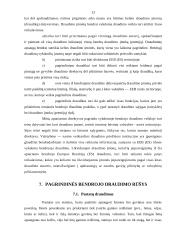 Bendrojo draudimo ypatumai 13 puslapis