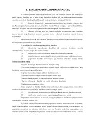 Bendrojo draudimo ypatumai 3 puslapis