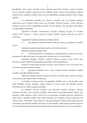 Bendrojo draudimo ypatumai 4 puslapis