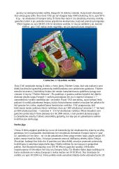 Bendrosios paskirties aviacijos vystymosi tendencijos 7 puslapis