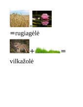 Lietuvių pamokos planas 3 pradinei klasei 8 puslapis