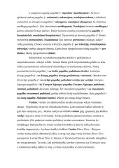 Bendrosios prielinksnių vartojimo klaidos 5 puslapis