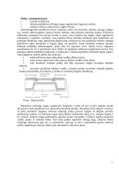 Benzino centrinio įpurškimo sistemų analizė 11 puslapis