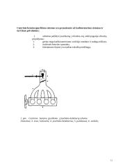 Benzino centrinio įpurškimo sistemų analizė 12 puslapis