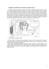 Benzino centrinio įpurškimo sistemų analizė 8 puslapis