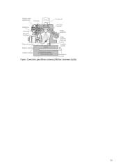 Benzino centrinio įpurškimo sistemų analizė 10 puslapis