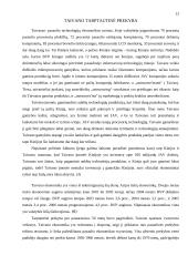 Besivystančių šalių tarptautinė ekonominė politika: Taivano atvejis 13 puslapis