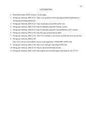 Besivystančių šalių tarptautinė ekonominė politika: Taivano atvejis 20 puslapis