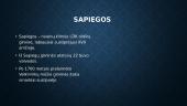 Sapiegos ir jų giminė  2 puslapis