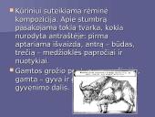 Mikalojus Husovianas „Giesmė apie stumbrą”  5 puslapis