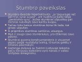 Mikalojus Husovianas „Giesmė apie stumbrą”  6 puslapis