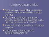 Mikalojus Husovianas „Giesmė apie stumbrą”  9 puslapis