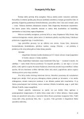 Bičių kenkėjai, ligos ir apsauga 8 puslapis