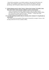 „Kova“. Atsakymai į klausimus 2 puslapis