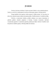 Pinigų biudžetas 2 puslapis