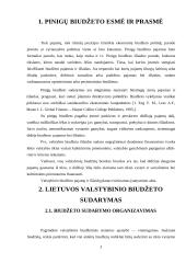 Pinigų biudžetas 3 puslapis