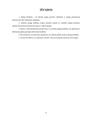 Pinigų biudžetas 8 puslapis