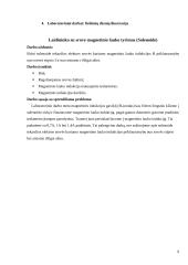 Masės spektrometras 7 puslapis