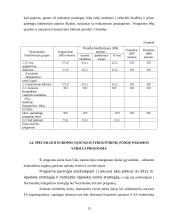 Biudžetinių įstaigų specialiosios programos ir jų finansavimas 13 puslapis