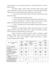 Biudžetinių įstaigų specialiosios programos ir jų finansavimas 14 puslapis